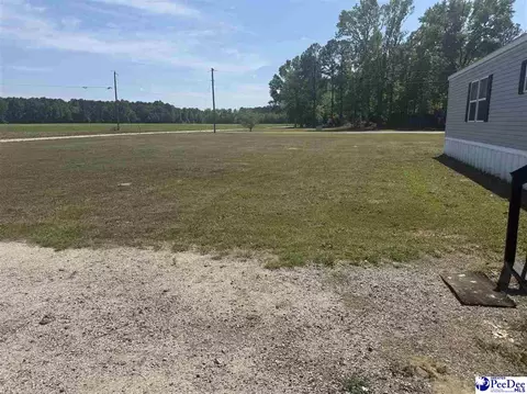 732 Dovefield Rd, Lamar, SC 29069 photo 7