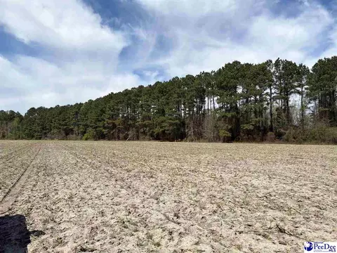 Mta 11 Heustess Rd, Dillon, SC 29567 photo 3