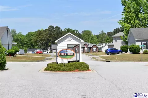 3300 Spiral Ln, Effingham, SC 29541 photo 1