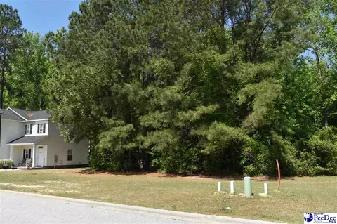 3300 Spiral Ln, Effingham, SC 29541 photo 6