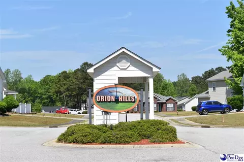 3300 Spiral Ln, Effingham, SC 29541 photo 2