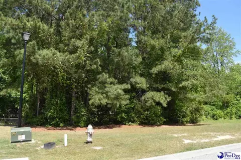 3300 Spiral Ln, Effingham, SC 29541 photo 5