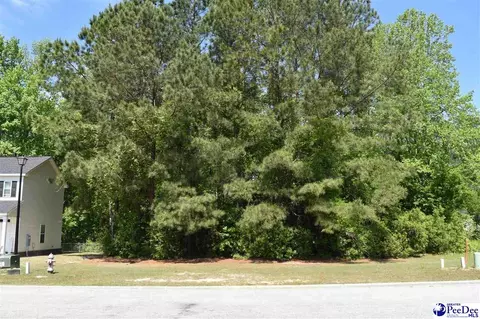 3300 Spiral Ln, Effingham, SC 29541 photo 3