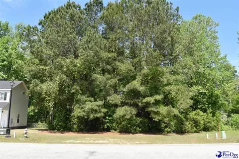 3300 Spiral Ln, Effingham, SC 29541 photo 4