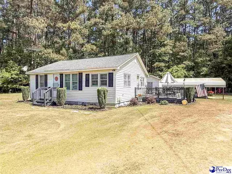 423 Mallard Rd, Coward, SC 29530
