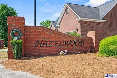 1675 Westview Dr, Florence, SC 29501 photo 49