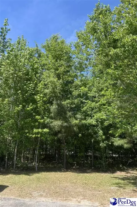 2516 E Highway 76, Marion, SC 29571