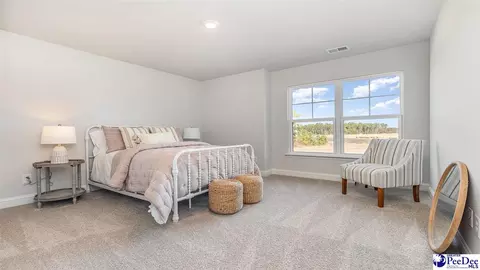Bedroom - 308 Bluff View Ln, Florence, SC 29505 photo 5 of 9