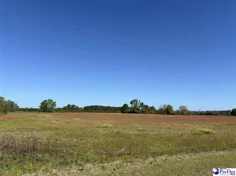tbd Hemingway Hwy, Hemingway, SC 29554