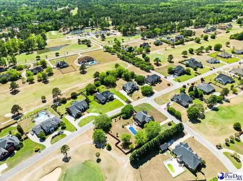 View/Area - 398 Sahalee Ln, Florence, SC 29501 photo 3 of 8