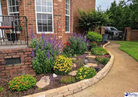 Other - 398 Sahalee Ln, Florence, SC 29501 photo 13 of 14