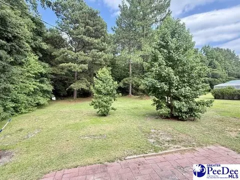 1338 Beechnut Dr, Latta, SC 29565 photo 19
