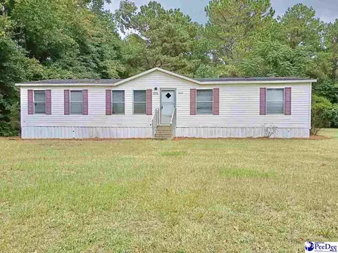 1338 Beechnut Dr, Latta, SC 29565 photo 2