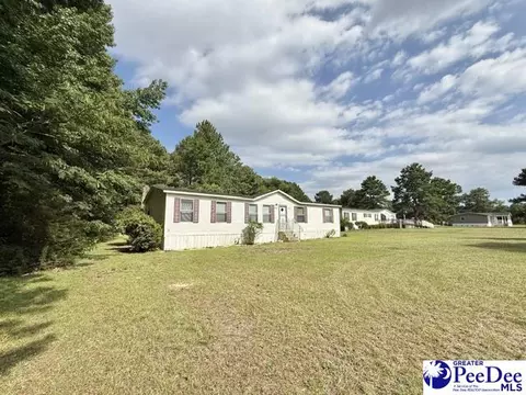 1338 Beechnut Dr, Latta, SC 29565 photo 22
