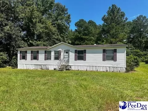 1338 Beechnut Dr, Latta, SC 29565