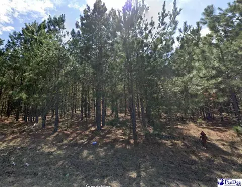Bullard Ford Rd, Hartsville, SC 29550
