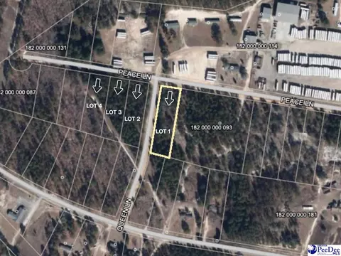 Peace Lane, Hartsville, SC 29550