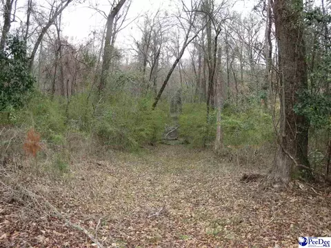 Other - 2519 E Mciver Rd, Florence, SC 29501 photo 4 of 4