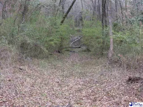 Other - 2519 E Mciver Rd, Florence, SC 29501 photo 3 of 4