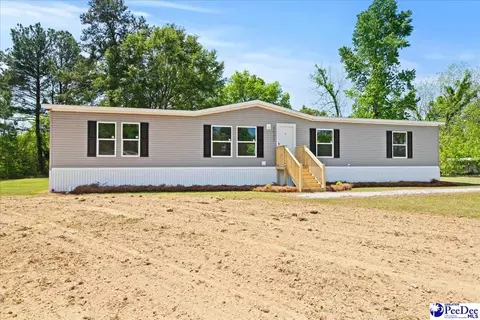 4043 Lake Swamp Rd, Timmonsville, SC 29161