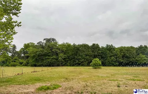 lot17 Treasure Cv, Latta, SC 29565