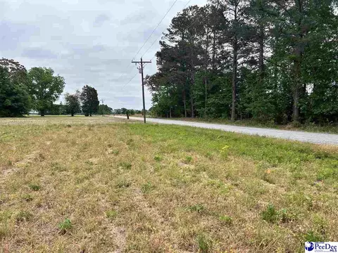 lot2 E Carolina Ave, Hartsville, SC 29550