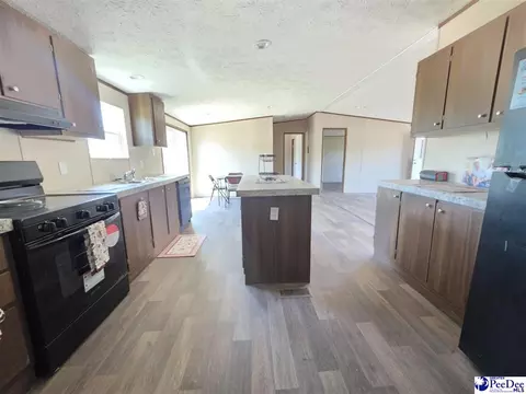 2005 Trent Dr, Dillon, SC 29536 photo 11