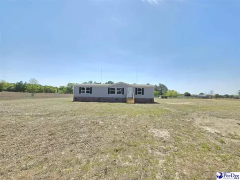 2005 Trent Dr, Dillon, SC 29536 photo 12