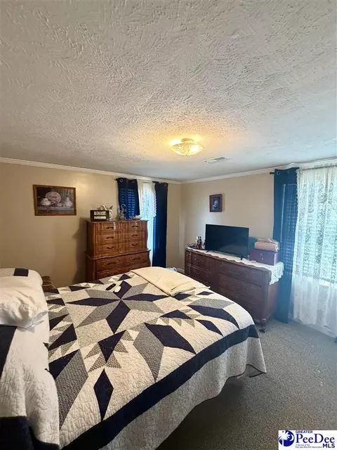 2526 Lester Rd, Dillon, SC 29536 photo 6