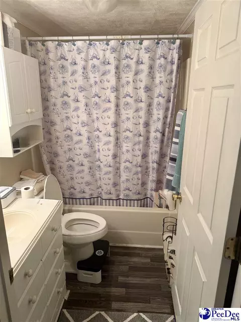 2526 Lester Rd, Dillon, SC 29536 photo 7