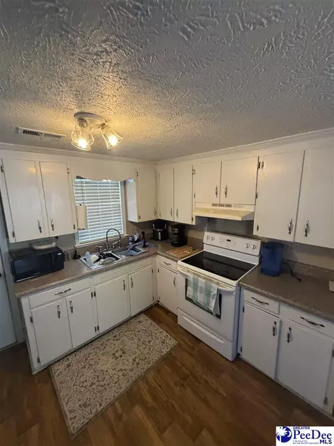 2526 Lester Rd, Dillon, SC 29536 photo 4
