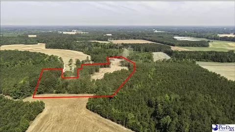 tbd Newberry Rd, Lamar, SC 29069 photo 2