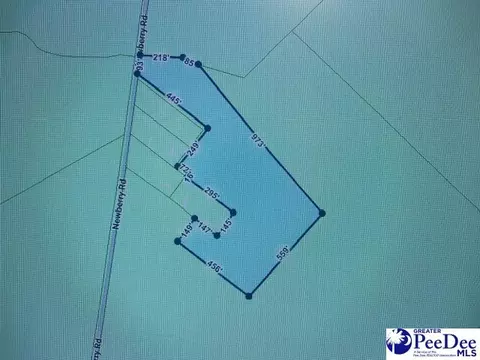 tbd Newberry Rd, Lamar, SC 29069 photo 4