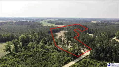 tbd Newberry Rd, Lamar, SC 29069 photo 1