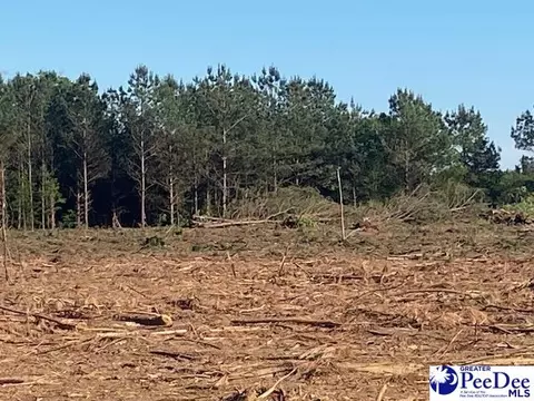 tbd Newberry Rd, Lamar, SC 29069 photo 14
