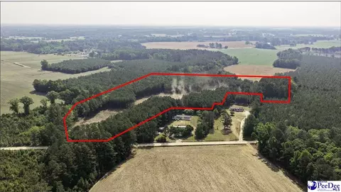 tbd Newberry Rd, Lamar, SC 29069 photo 3