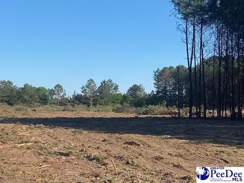 tbd Newberry Rd, Lamar, SC 29069 photo 11