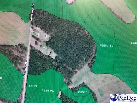 tbd Newberry Rd, Lamar, SC 29069 photo 6