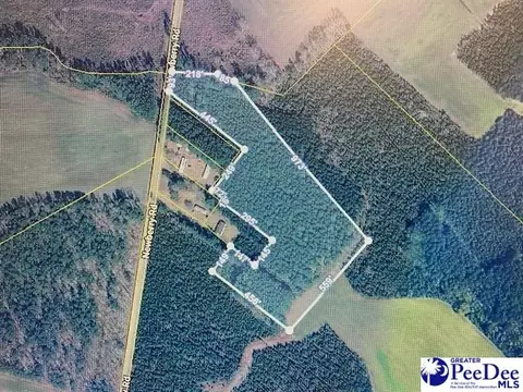 tbd Newberry Rd, Lamar, SC 29069 photo 5
