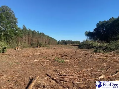 tbd Newberry Rd, Lamar, SC 29069 photo 8