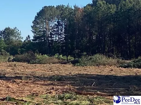 tbd Newberry Rd, Lamar, SC 29069 photo 13