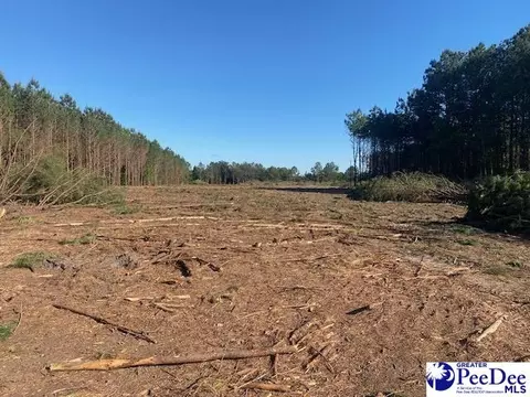 tbd Newberry Rd, Lamar, SC 29069 photo 9