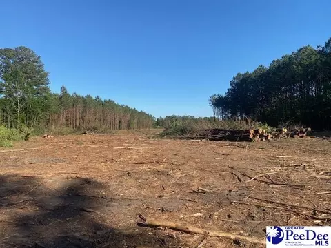 tbd Newberry Rd, Lamar, SC 29069 photo 7