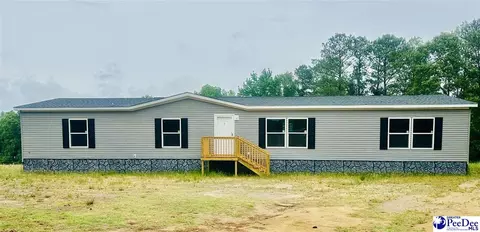 788 Hough St, Mount Croghan, SC 29727
