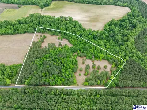 Daniel Chapel Rd, Mccoll, SC 29570