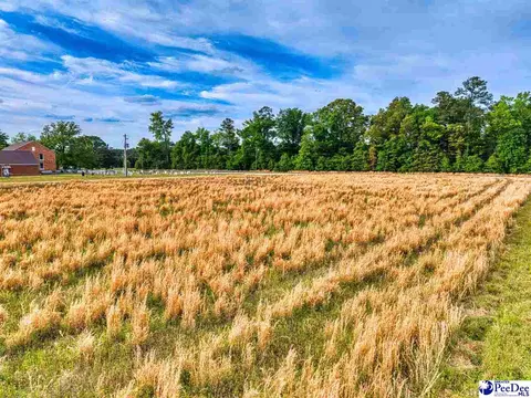 lot Apt 4 Liberty Chapel Rd, Florence, SC 29506 photo 10