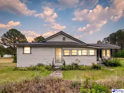 61 Willie Millan Dr, Kingstree, SC 29556