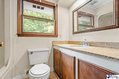Bath - 1403 Pheasant Rd, Effingham, SC 29541 photo 4 of 4