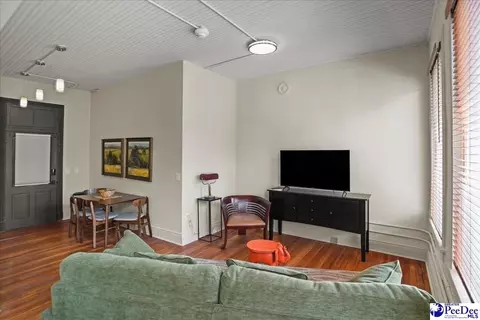 Living - 127 W Evans St UNIT E, Florence, SC 29501 photo 2 of 3
