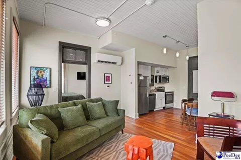 Living - 127 W Evans St UNIT E, Florence, SC 29501 photo 3 of 3